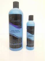 CB Smoothe Shampoo Therapeutic GAL - New Supply Zone & Fab Fashions